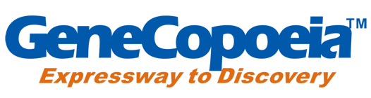 广州15vip太阳成集团古天乐有限公司